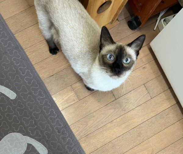 KakaoTalk_Photo_2024-09-04-17-30-59 002.jpeg